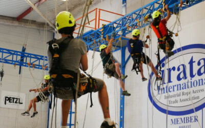 ¿Qué es el efecto péndulo?