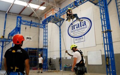 Que es el síndrome del arnés