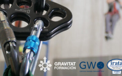 ¿Qué tipos de mosquetones existen para trabajos verticales?